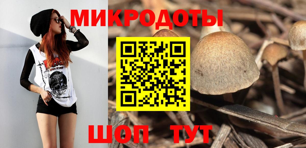Псилоцибиновые грибы Cubensis Ульяновск